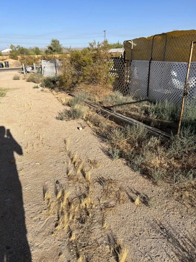 Reliable landscape installation in Ridgecrest, CA by Sigala Yard Service