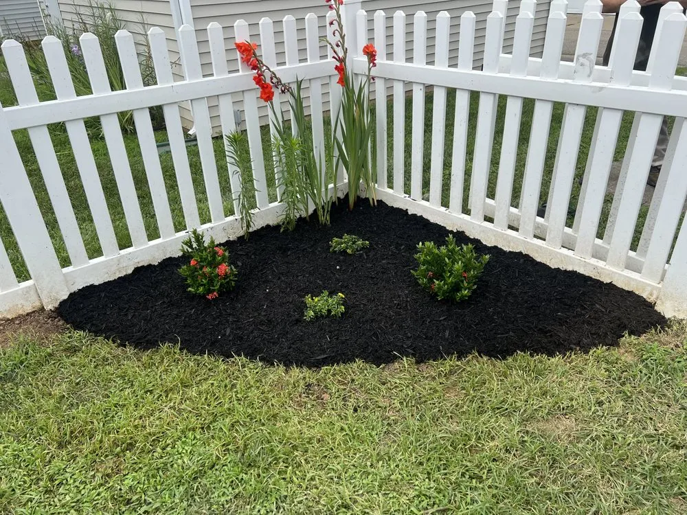 Top-rated yard cleanup service in Louisville, KY - Sightler Landscaping