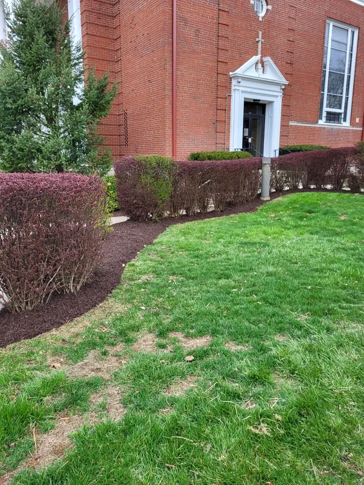 Professional yard cleanup service for beautiful yards across Bethlehem, PA - Sigley's Lawn & Landscape