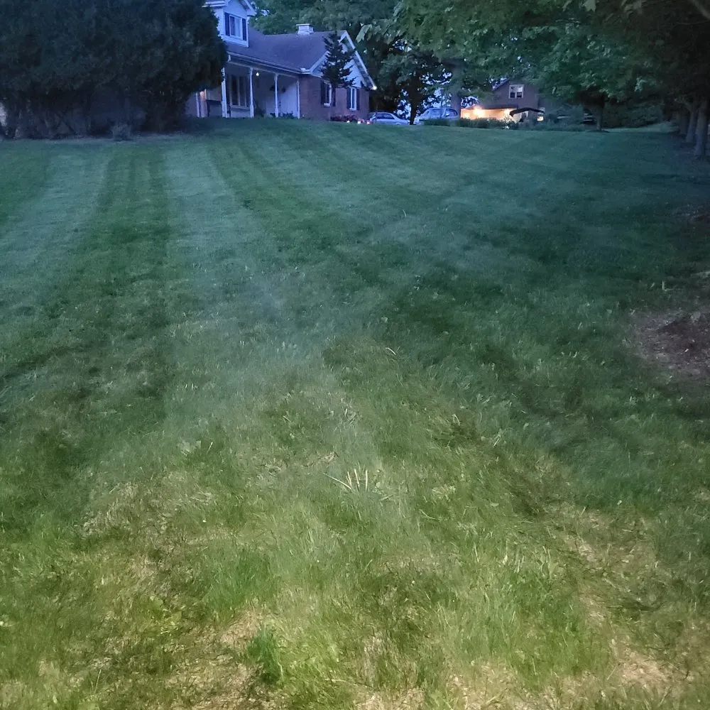 Professional lawn care service for year-round maintenance in Bethlehem, PA by Sigley's Lawn & Landscape