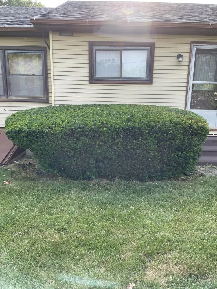 Local landscape design for outdoor upgrades across Lehighton, PA - Sigley’s Lawn Care