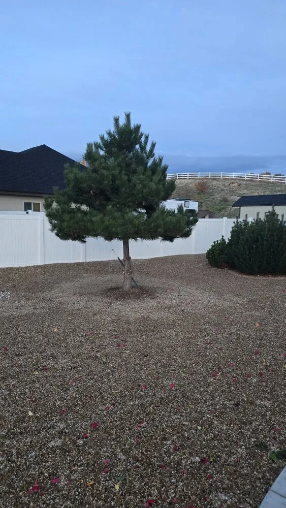 Trusted lawn mowing service experts serving Caldwell, ID - Sigma Estates Landscaping & Concrete