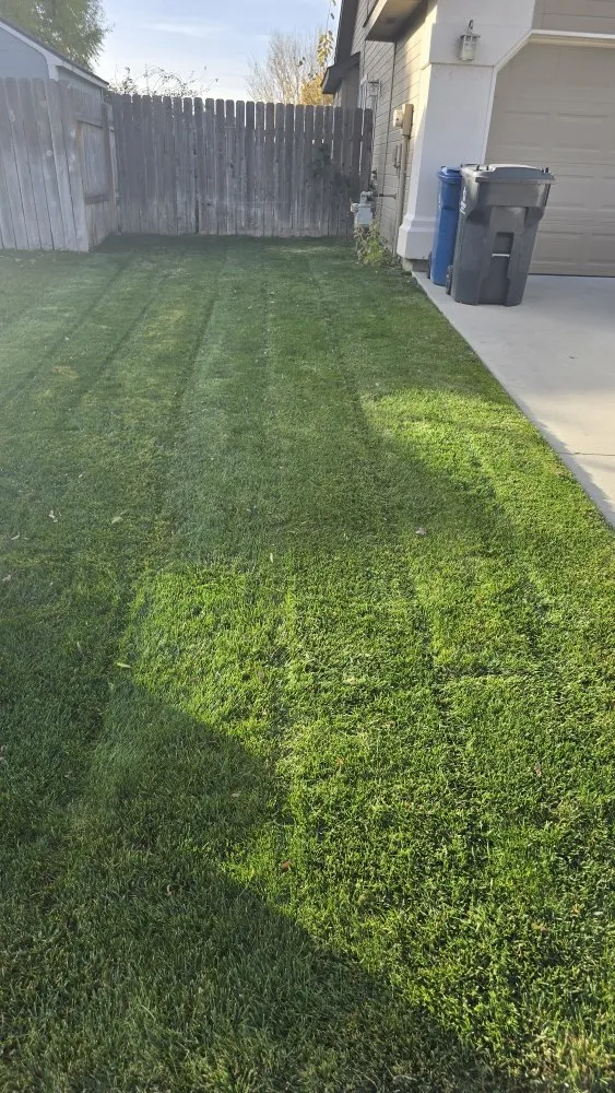 Reliable yard cleanup service in Caldwell, ID by Sigma Estates Landscaping & Concrete