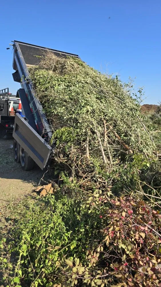 Professional outdoor landscaping experts serving Caldwell, ID - Sigma Estates Landscaping & Concrete