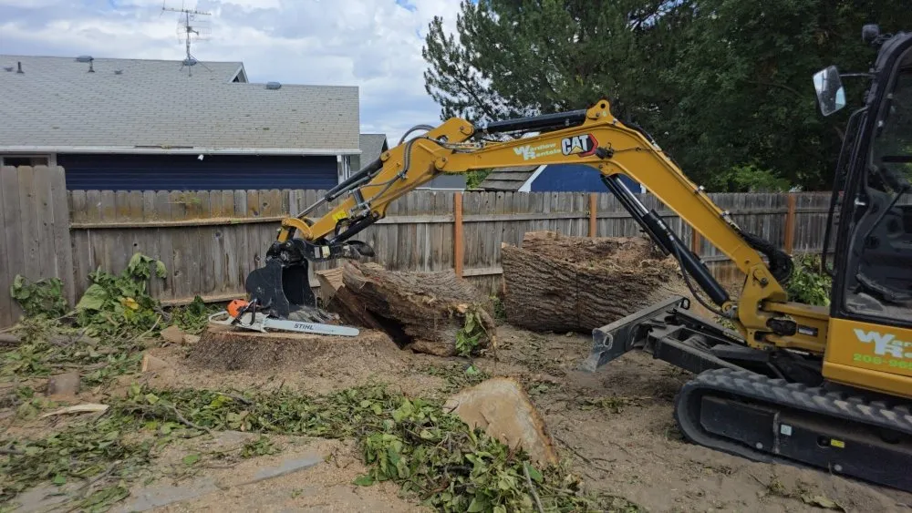 Trusted landscaping services near you in Caldwell, ID by Sigma Estates Landscaping & Concrete