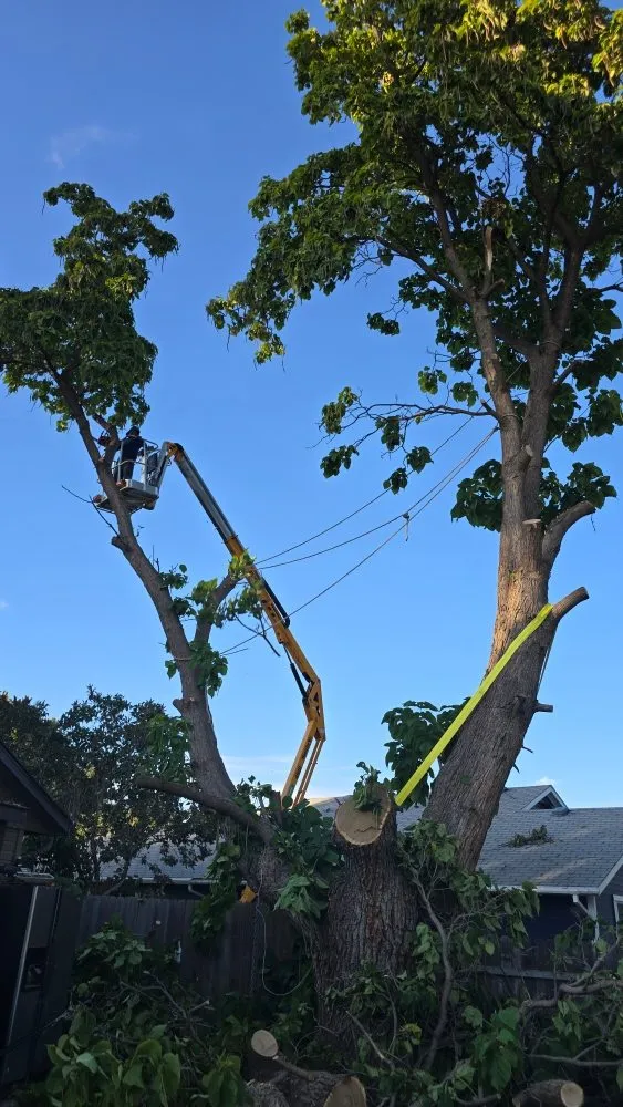 Top-rated lawn mowing service in Caldwell, ID by Sigma Estates Landscaping & Concrete