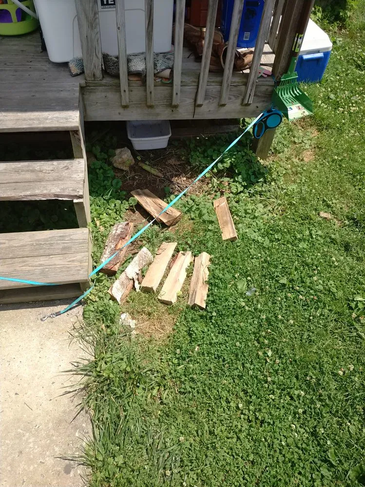 Affordable landscaping services for residential properties across Elkton, MD - Signature Designs Custom Landscaping