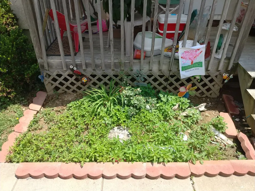 Affordable yard maintenance near you in Elkton, MD by Signature Designs Custom Landscaping