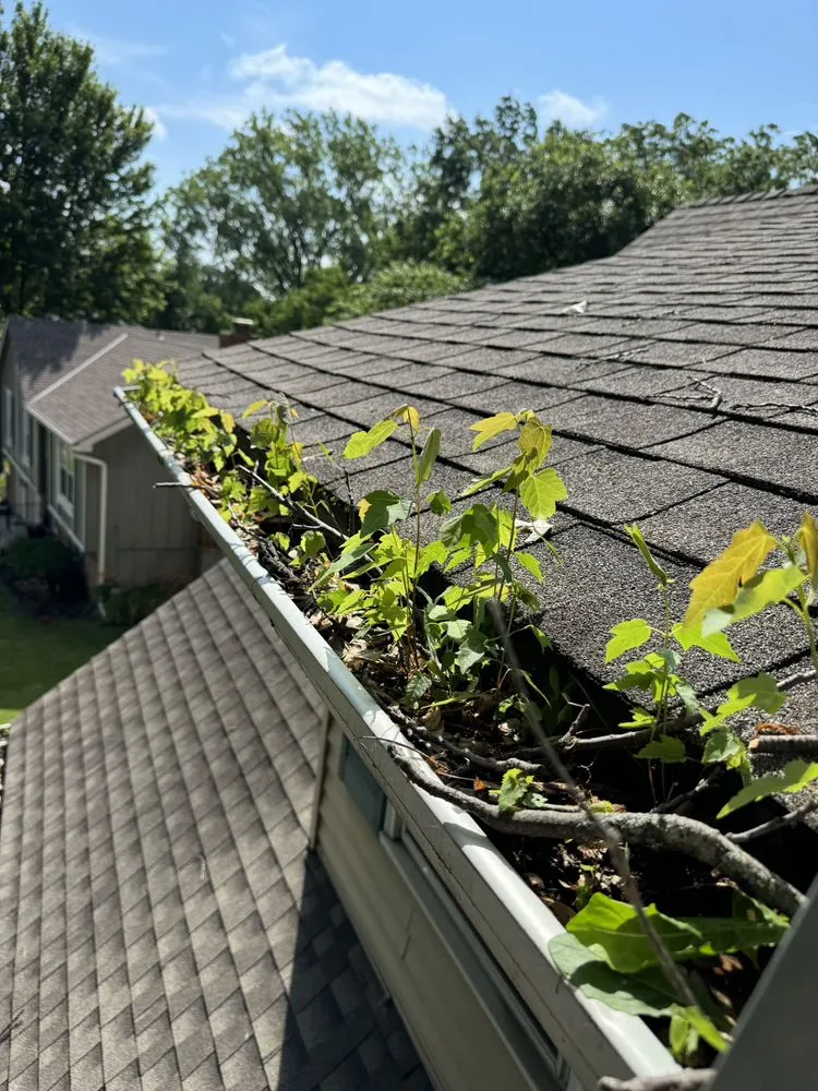 Local lawn care service with custom design in Grain Valley, MO by Signature Elite Property Management