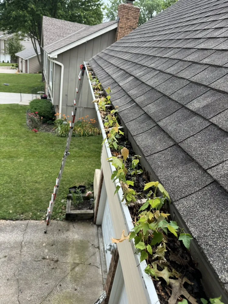 Reliable outdoor landscaping in Grain Valley, MO - Signature Elite Property Management