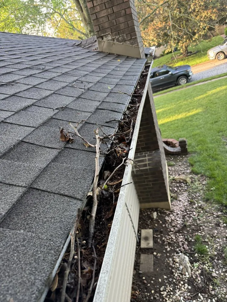 Professional lawn care service in Grain Valley, MO - Signature Elite Property Management