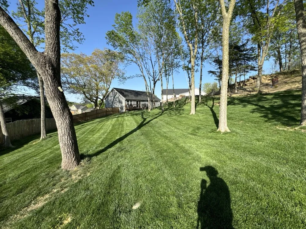 Local landscape installation for homes in Grain Valley, MO by Signature Elite Property Management