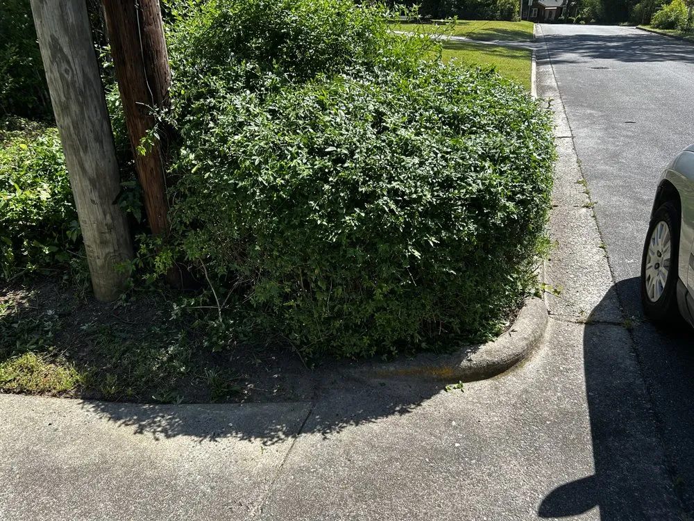 Expert yard maintenance in Macon, GA - Signature Handy & Lawn Care Services