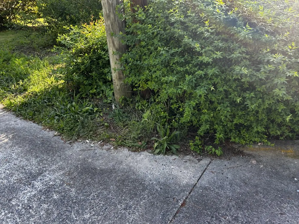 Reliable residential landscaping experts serving Macon, GA - Signature Handy & Lawn Care Services