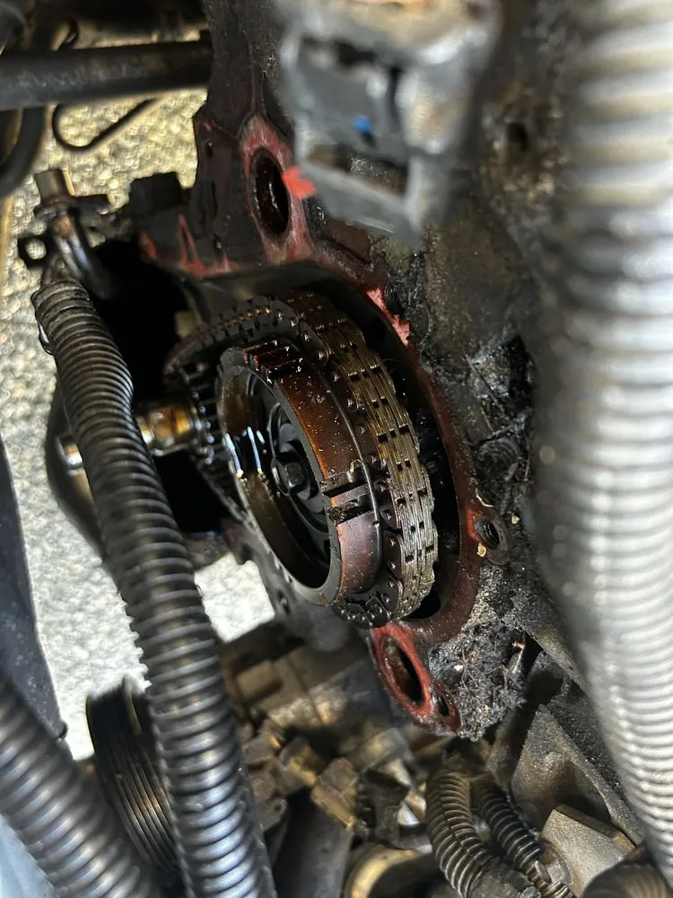 Trusted lawn mowing service with custom design across Macon, GA - Signature Handy & Lawn Care Services