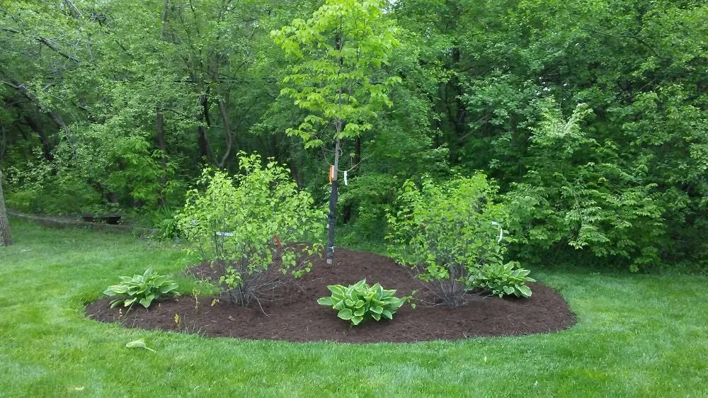 Expert lawn mowing service experts serving Joliet, IL - Signature Ill Tree Services