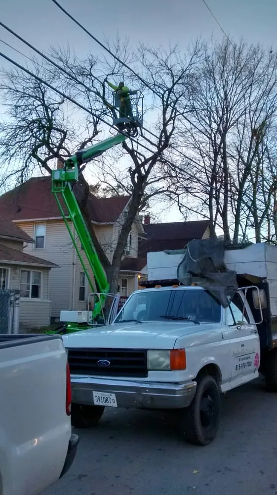 Reliable landscape installation for year-round maintenance in Joliet, IL by Signature Ill Tree Services