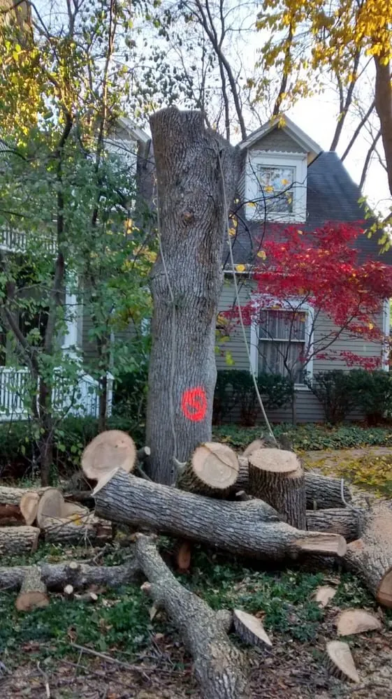 Local garden landscaping for residential properties across Joliet, IL - Signature Ill Tree Services