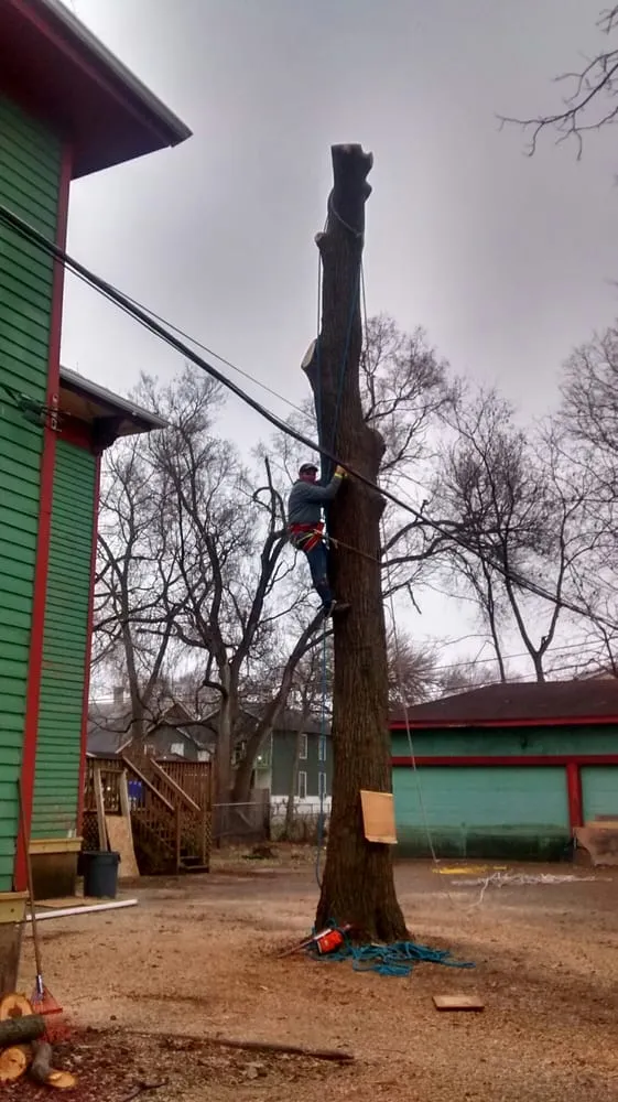 Expert landscape installation near you in Joliet, IL by Signature Ill Tree Services