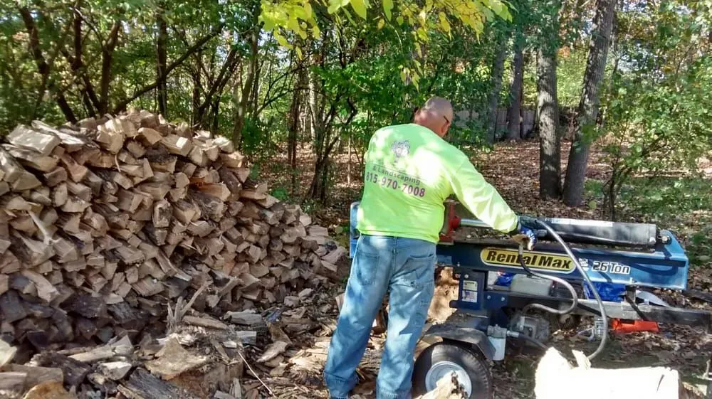 Local yard cleanup service for homes in Joliet, IL by Signature Ill Tree Services