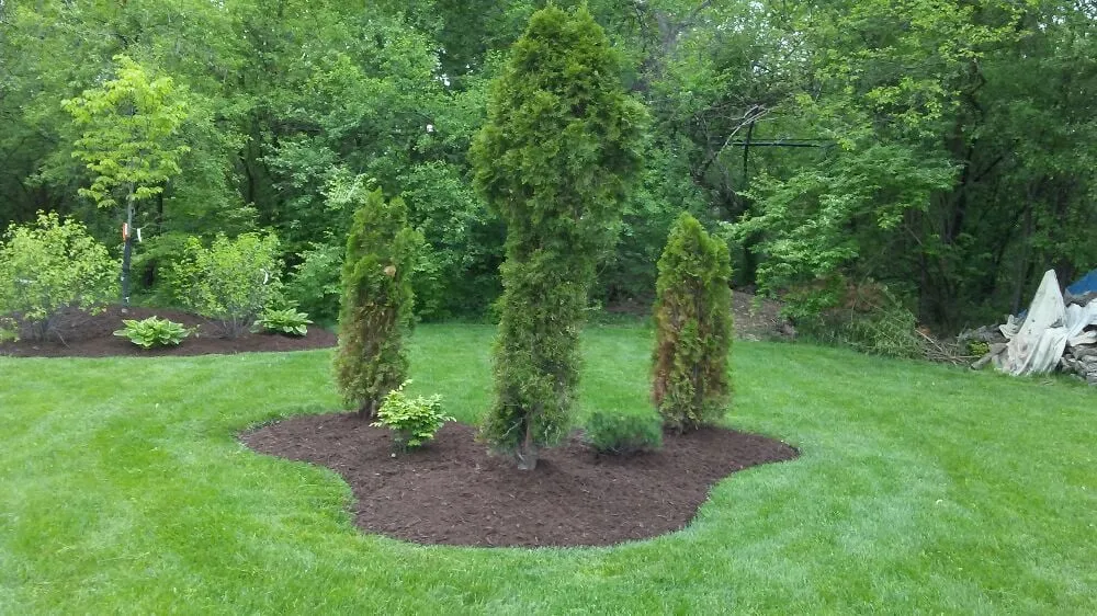 Top-rated lawn care service experts serving Joliet, IL - Signature Ill Tree Services