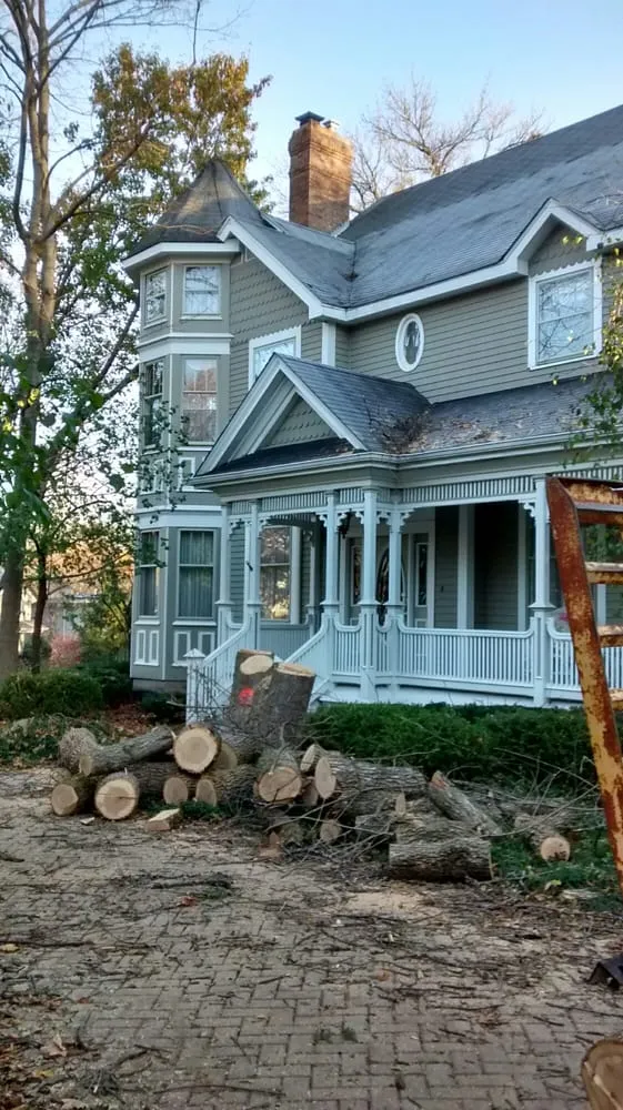 Trusted outdoor landscaping in Joliet, IL by Signature Ill Tree Services