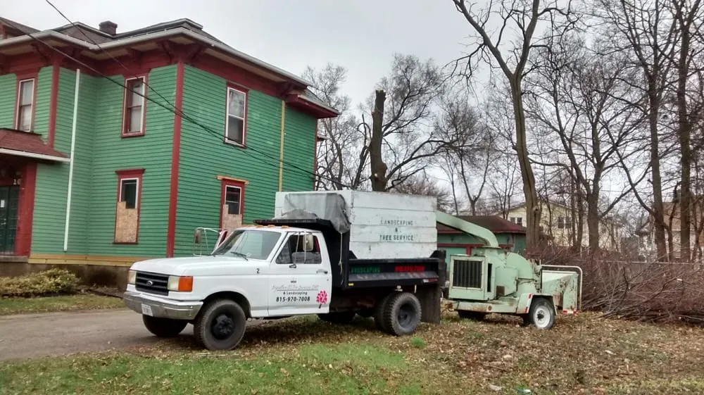 Professional lawn care service in Joliet, IL - Signature Ill Tree Services