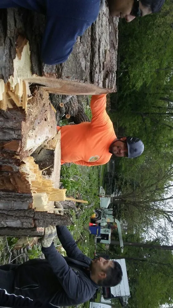 Expert lawn care service near you in Joliet, IL by Signature Ill Tree Services