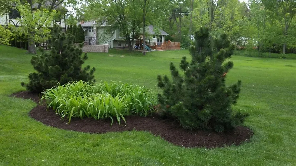 Affordable landscape installation experts serving Joliet, IL - Signature Ill Tree Services