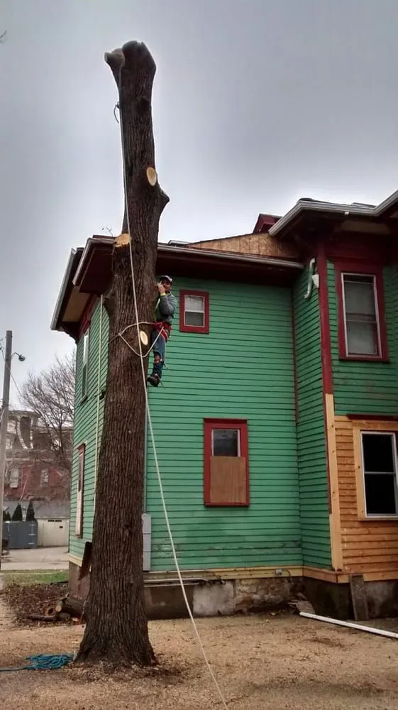 Trusted yard maintenance for homes across Joliet, IL - Signature Ill Tree Services