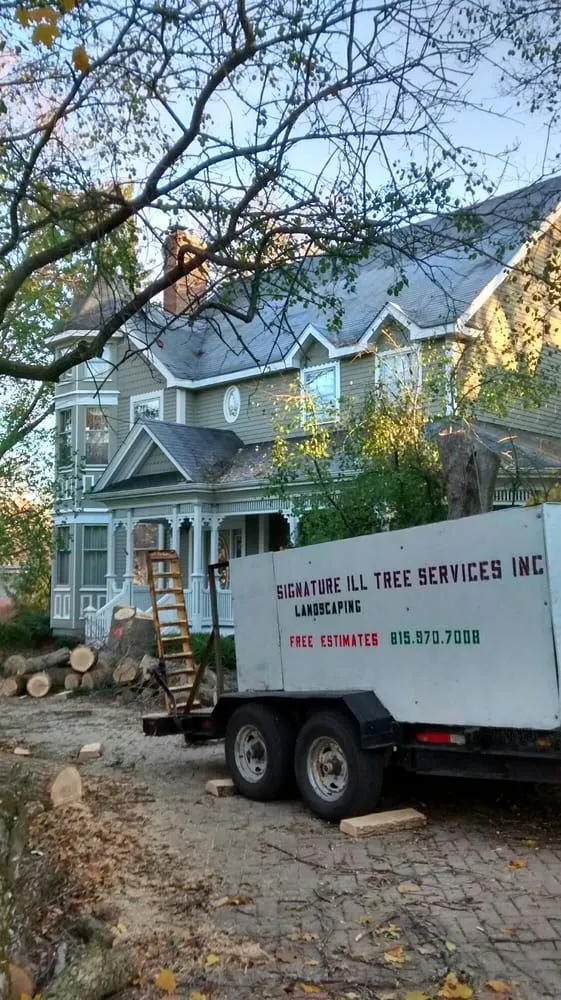 Trusted outdoor landscaping for outdoor upgrades across Joliet, IL - Signature Ill Tree Services