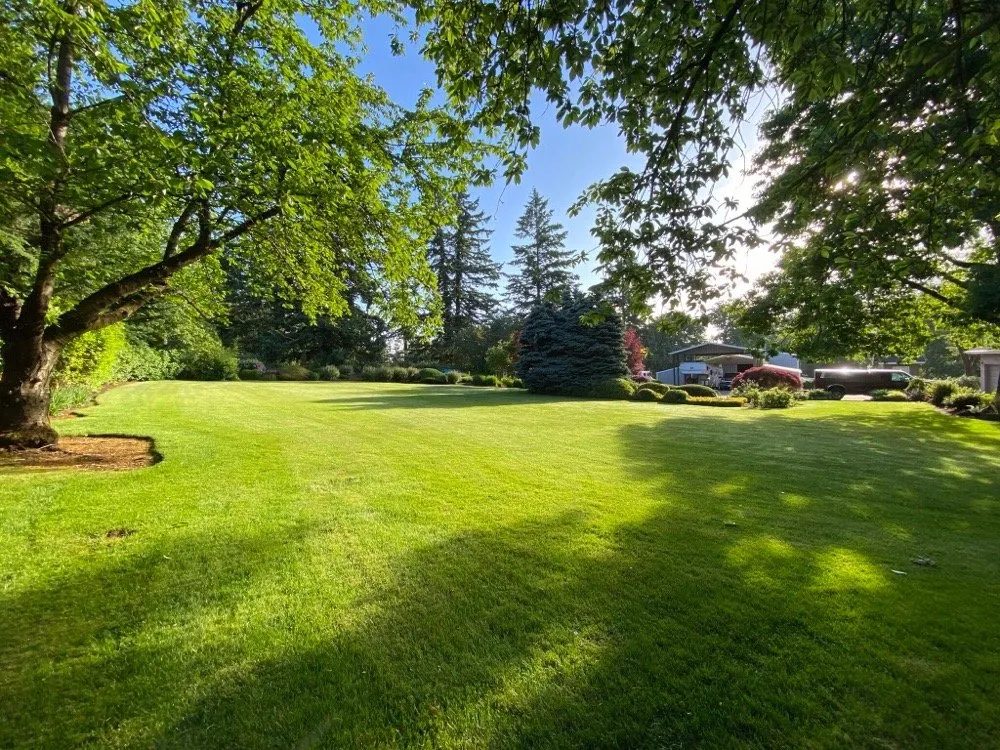 Reliable lawn care service in Tualatin, OR by Signature Landscape Care