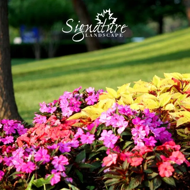 Affordable landscape design with custom design in Oklahoma City, OK by Signature Landscape OKC