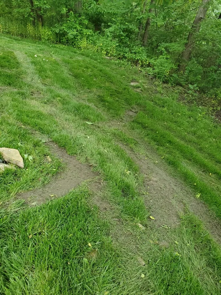 Trusted garden landscaping experts serving Olathe, KS - Signature Landscape