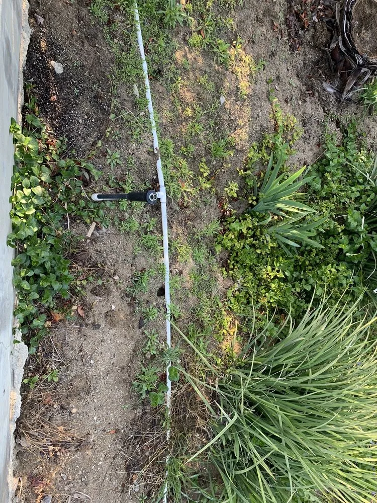 Custom yard cleanup service in Redlands, CA - Signature Landscape