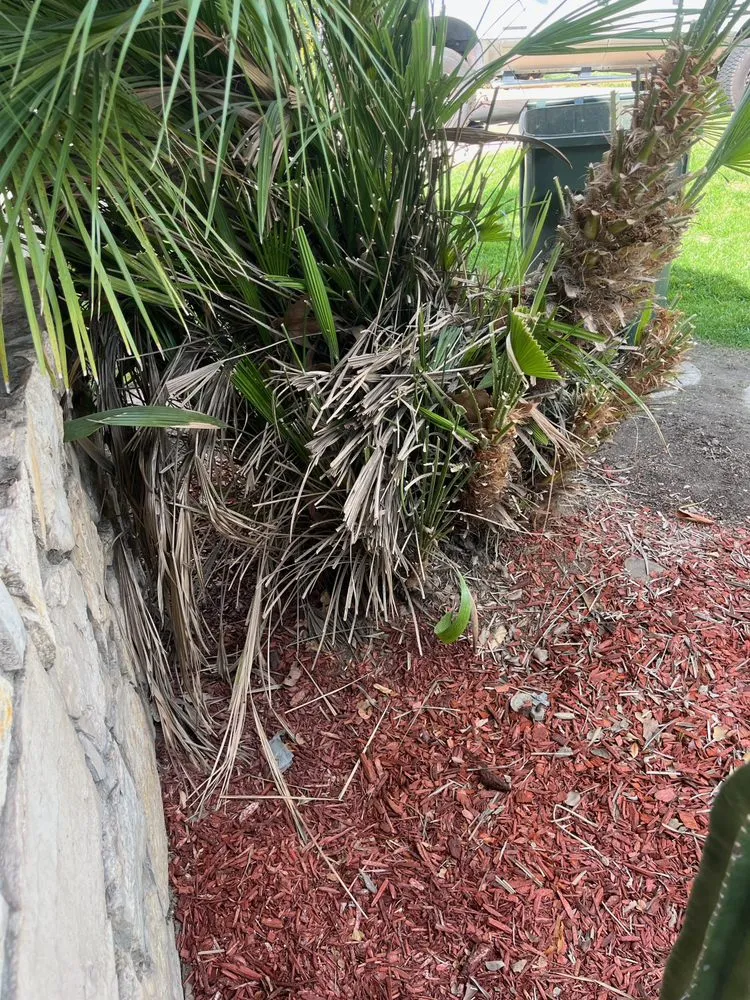 Trusted landscaping services in Redlands, CA by Signature Landscape