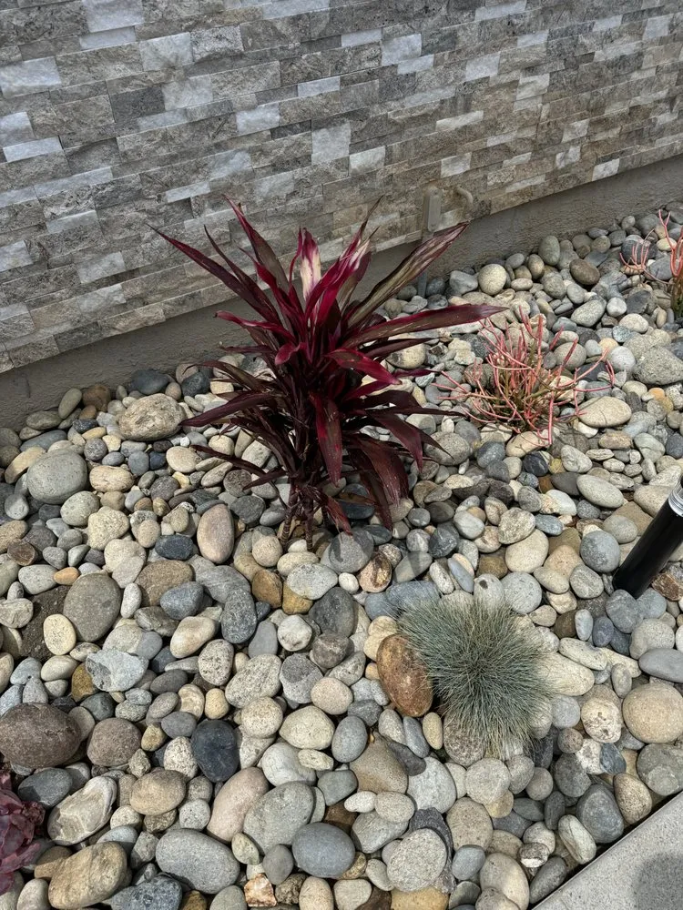 Reliable yard maintenance with custom design in Redlands, CA by Signature Landscape