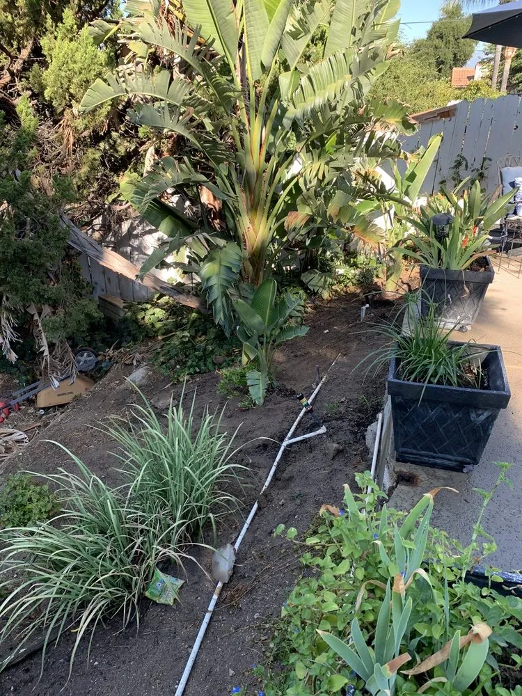 Professional landscaping services experts serving Redlands, CA - Signature Landscape