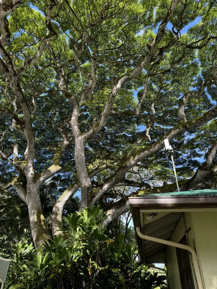 Affordable lawn care service experts serving Redlands, CA - Signature Landscape