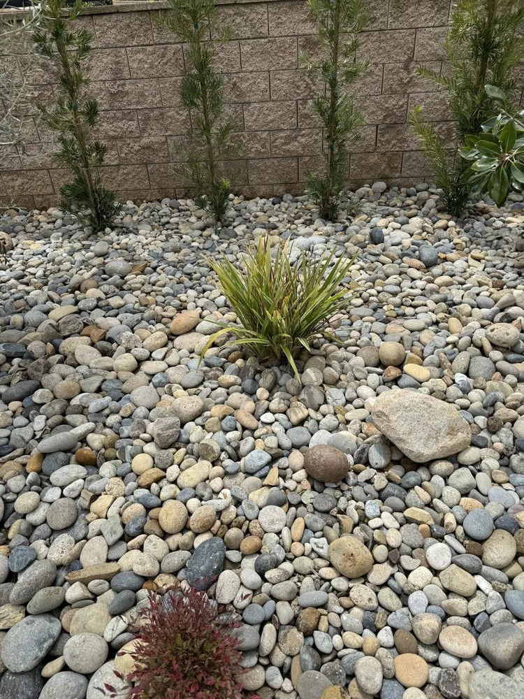 Custom landscape design in Redlands, CA by Signature Landscape