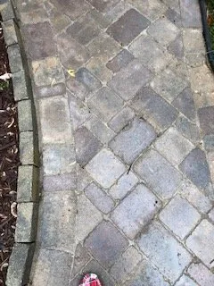 Top-rated yard cleanup service for outdoor upgrades across Eureka, MO - Signature Landscapes & Design