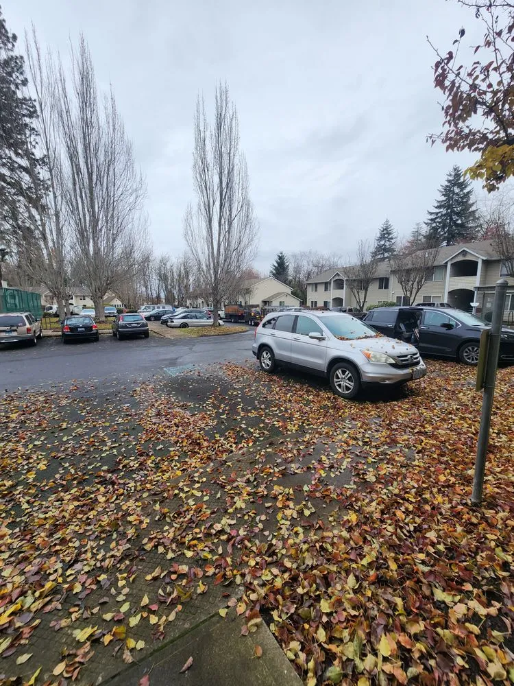 Custom landscape installation in Coburg, OR - Signature Landscapes