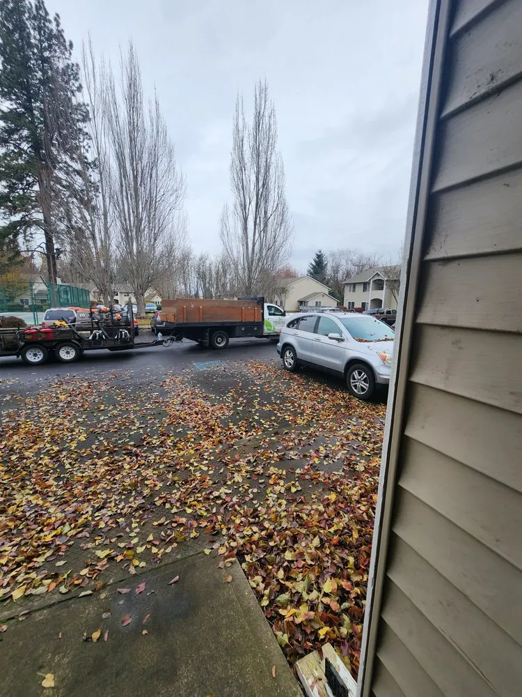 Custom yard cleanup service in Coburg, OR - Signature Landscapes