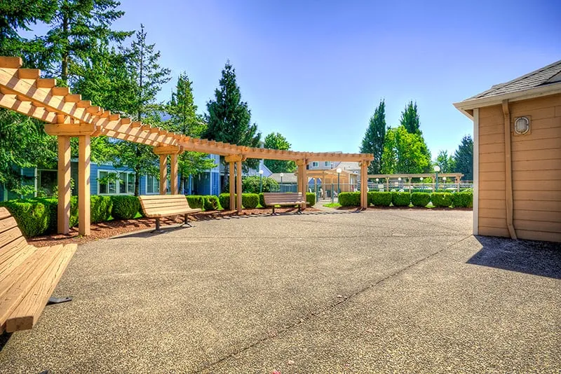 Professional yard maintenance for year-round maintenance across Coburg, OR - Signature Landscapes