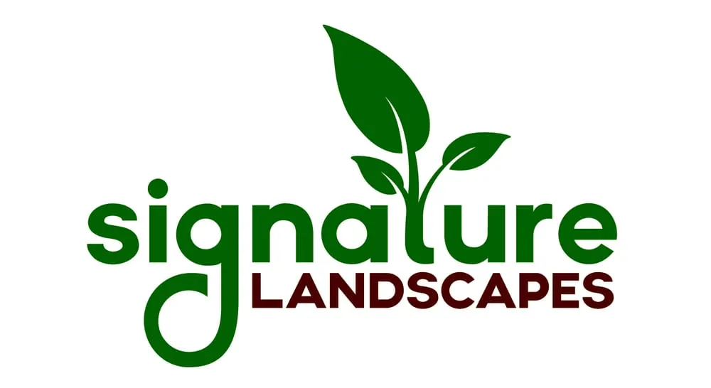 Custom yard maintenance experts serving Coburg, OR - Signature Landscapes