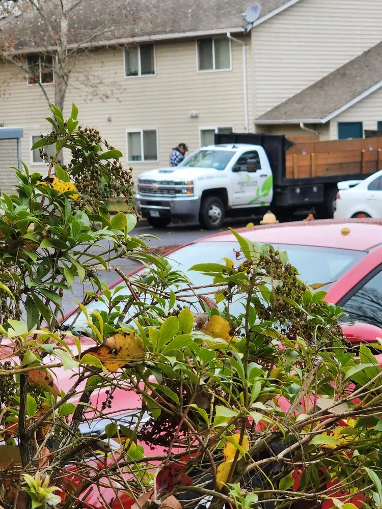 Trusted lawn mowing service for outdoor upgrades across Coburg, OR - Signature Landscapes