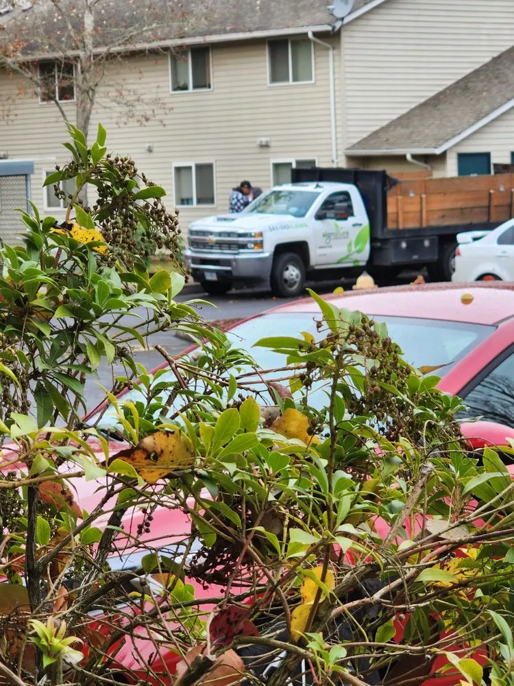 Expert landscape installation in Coburg, OR - Signature Landscapes