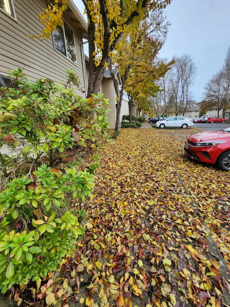 Reliable landscaping services for year-round maintenance across Coburg, OR - Signature Landscapes