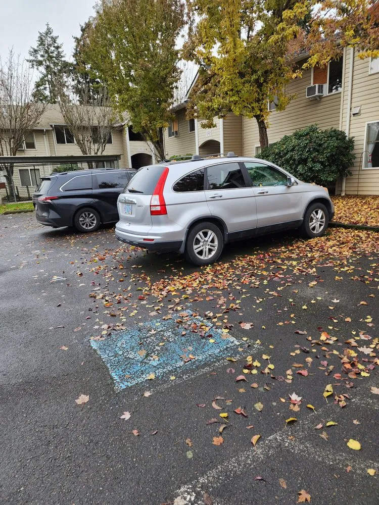 Custom yard cleanup service in Coburg, OR - Signature Landscapes