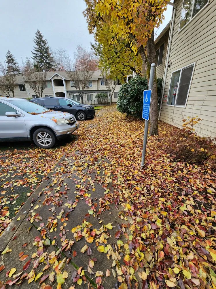 Professional residential landscaping experts serving Coburg, OR - Signature Landscapes